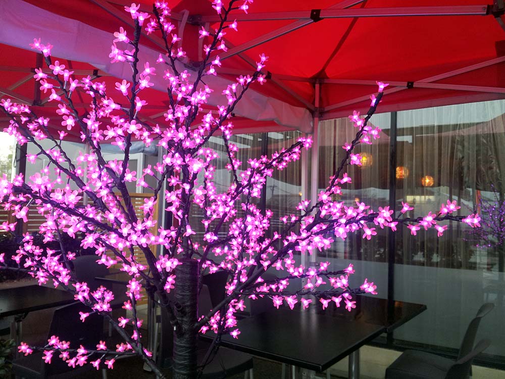 Pretty Pink Tree outside of the Topkapi Turkish&nbsp;Restaurant