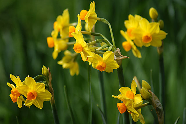 Spring is in the&nbsp;Air