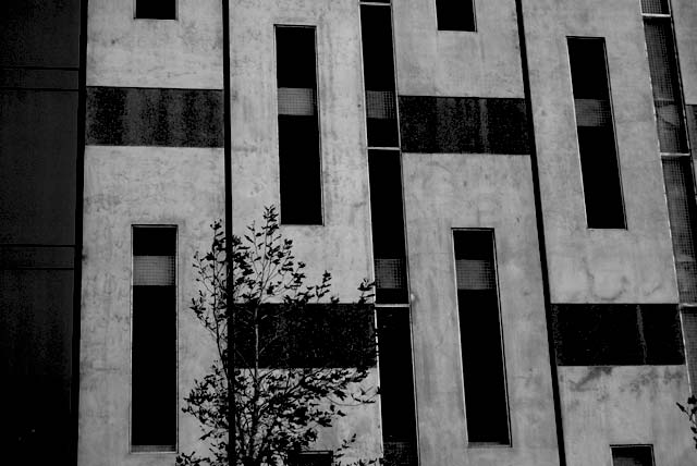 Hazeldean office building