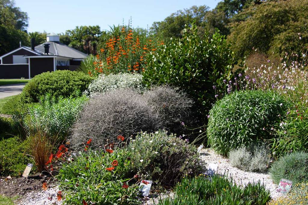 A drought resistant garden example at the Botanic&nbsp;Gardens