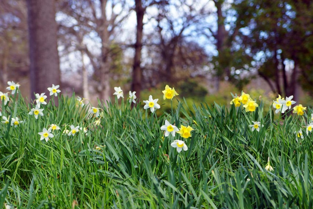 One decade of Christchurch Daily blog posts – my 10th anniversary of daily blogging, oh&nbsp;wow…