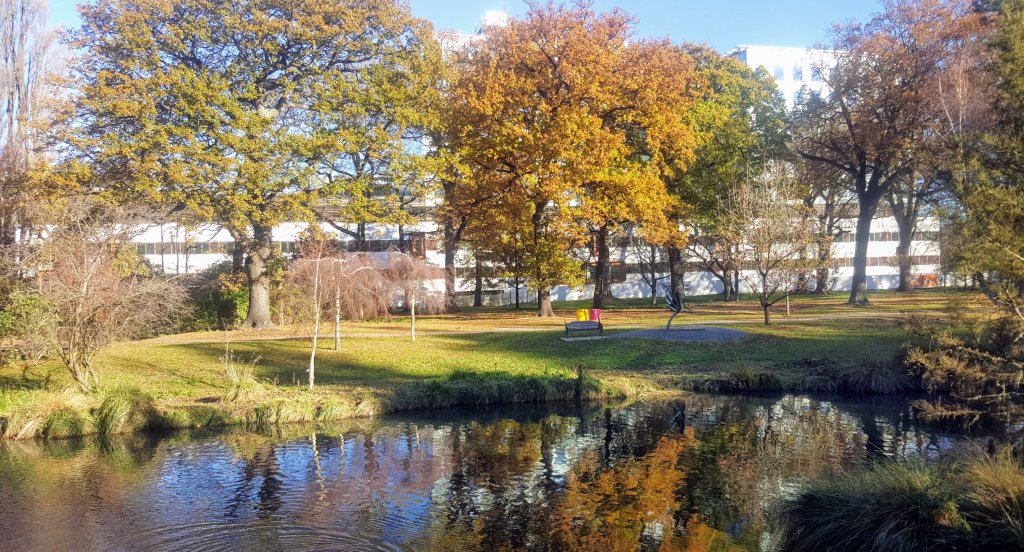 Avon River by the&nbsp;Hospital
