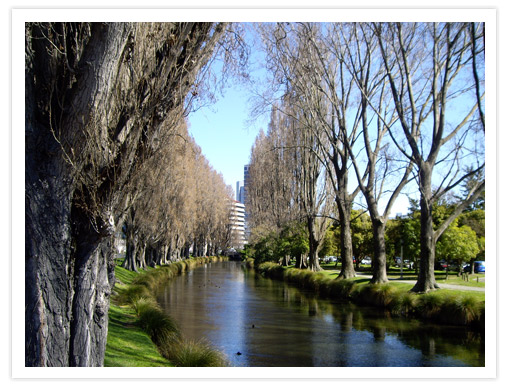 Trees Along the Avon&nbsp;River