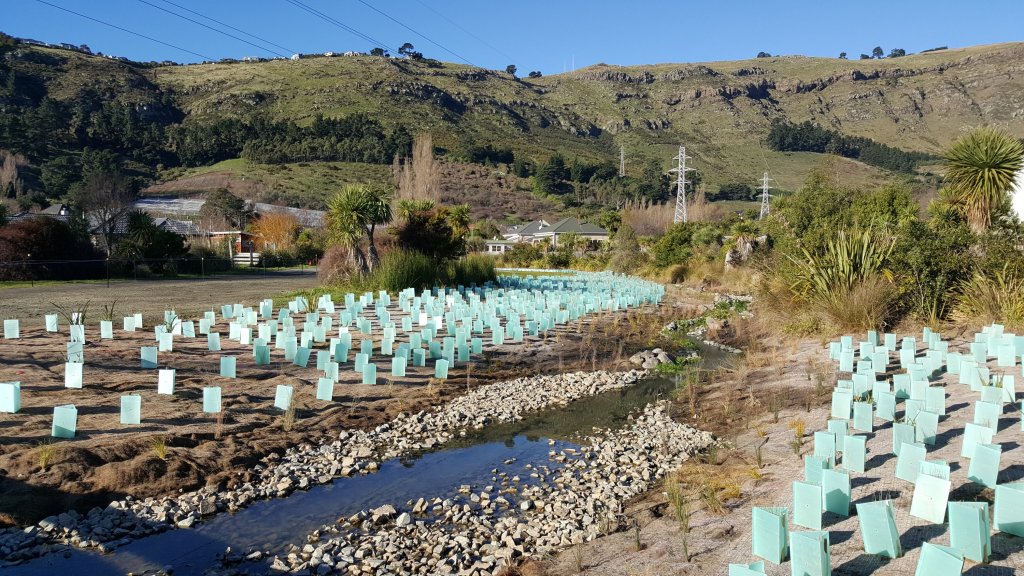 Plantings in Heathcote