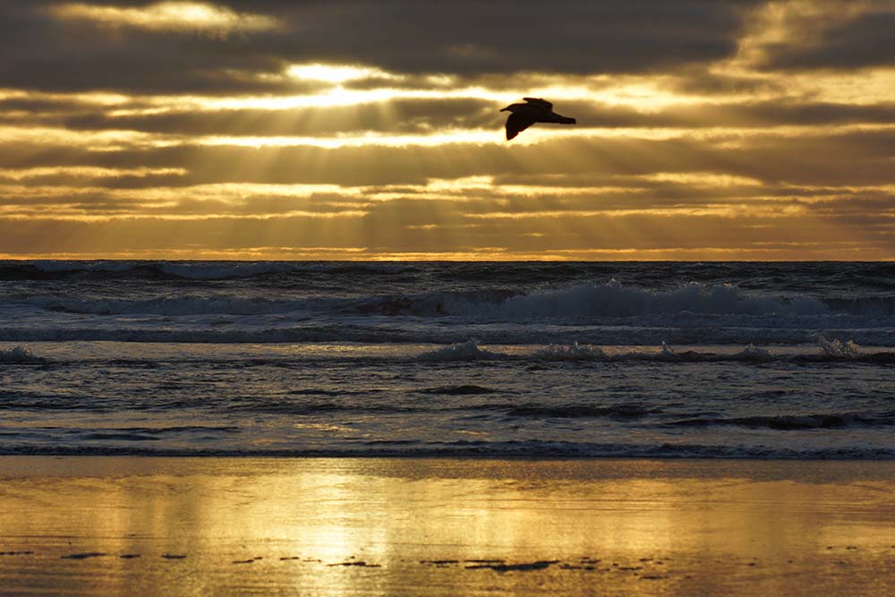 A beautiful dawn heralds the first day of&nbsp;Spring