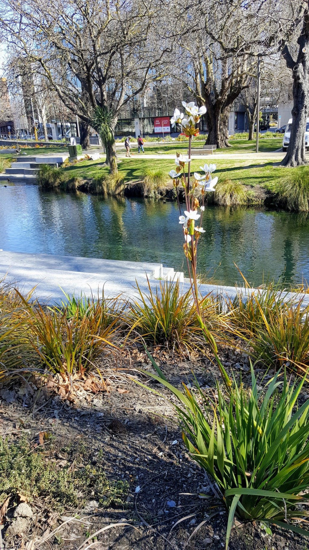 Plant by The&nbsp;Terraces