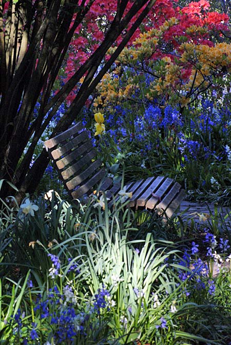 Botanic Gardens Seat