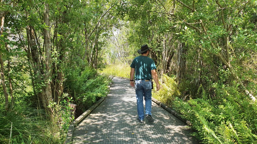 A walk through the Travis&nbsp;Wetlands