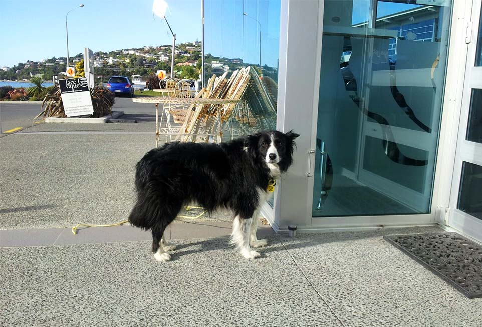 What about my&nbsp;lunch?