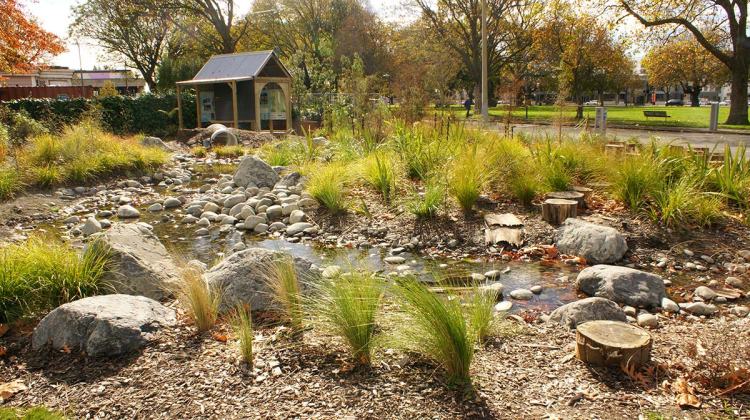 A landscaped area featuring a small stream with smooth stones, surrounded by native grasses and shrubs, alongside a park structure.
