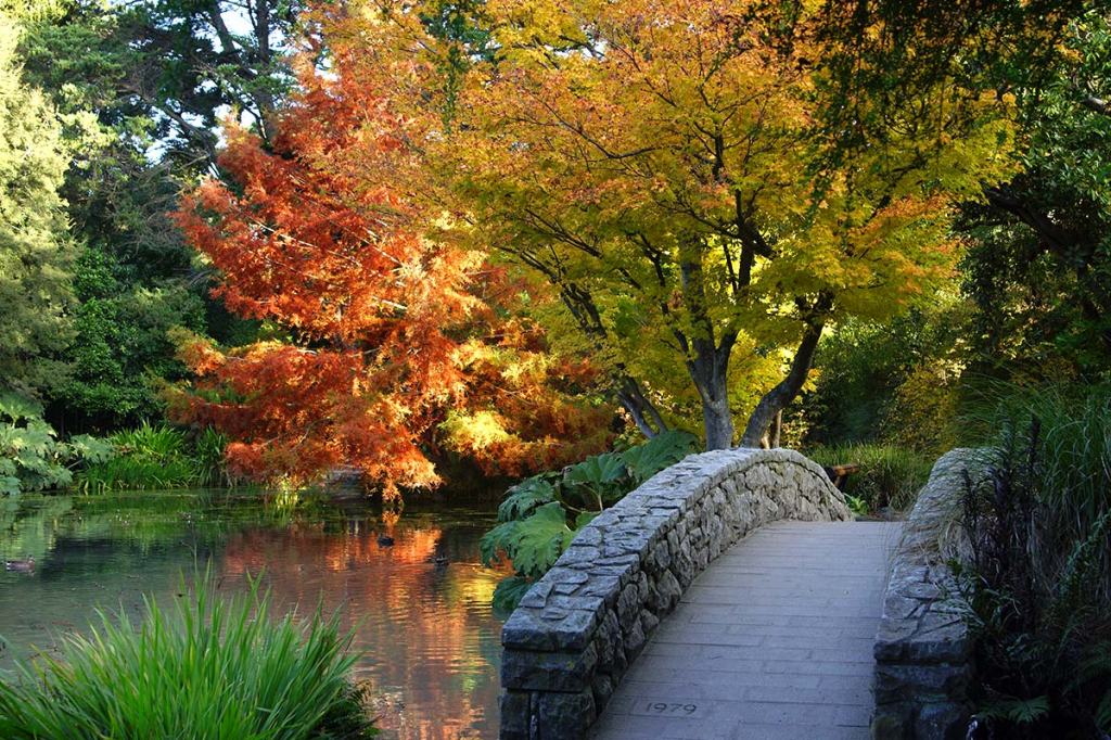 A picturesque stone bridge over a calm pond surrounded by vibrant autumn trees with red and yellow foliage in Christchurch Botanic Gardens.