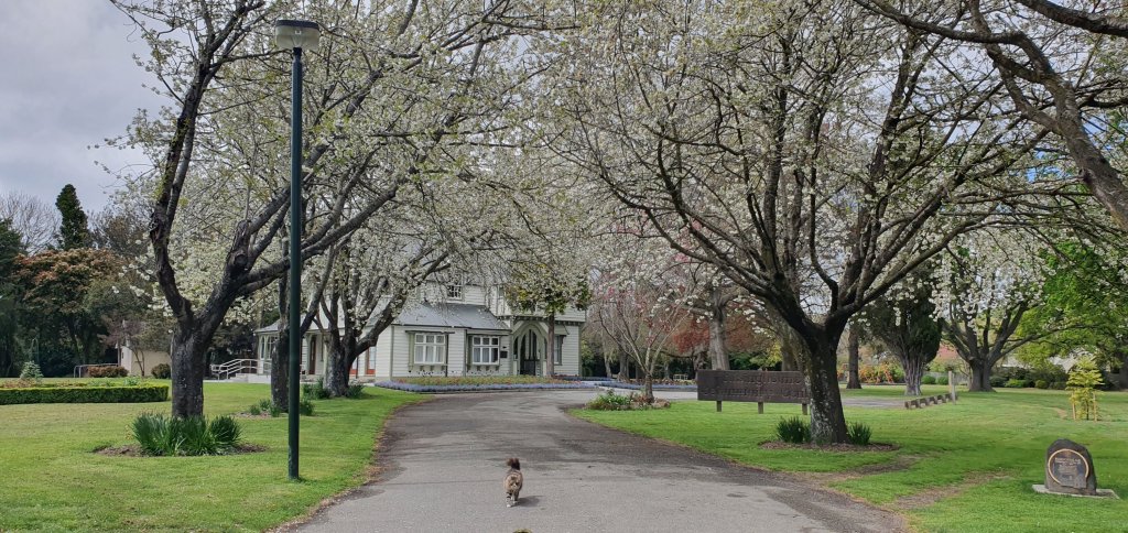Risingholme community centre in&nbsp;Opawa