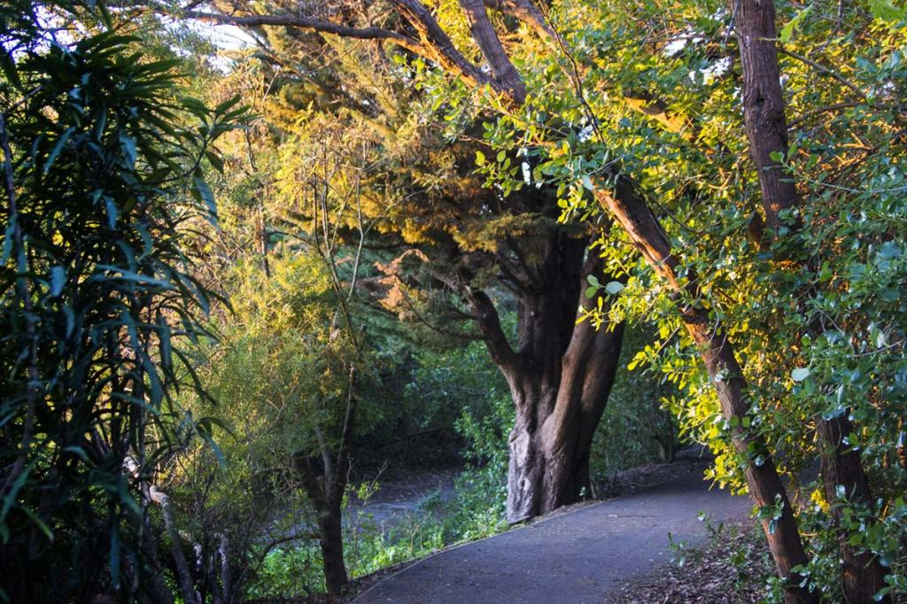 Footpath on Bridle Path&nbsp;Road
