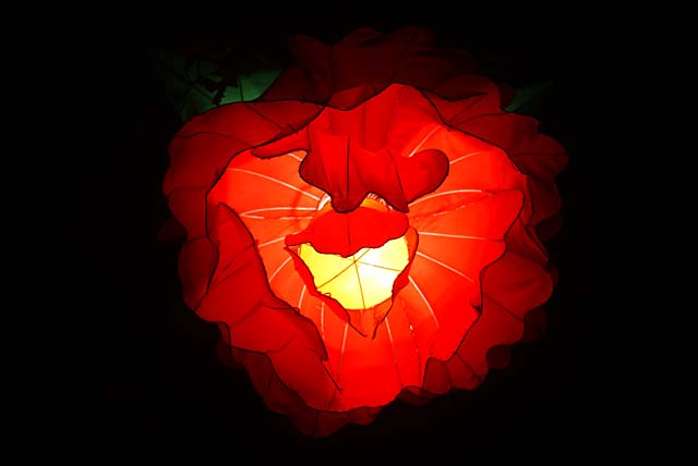 Chinese Lantern Festival