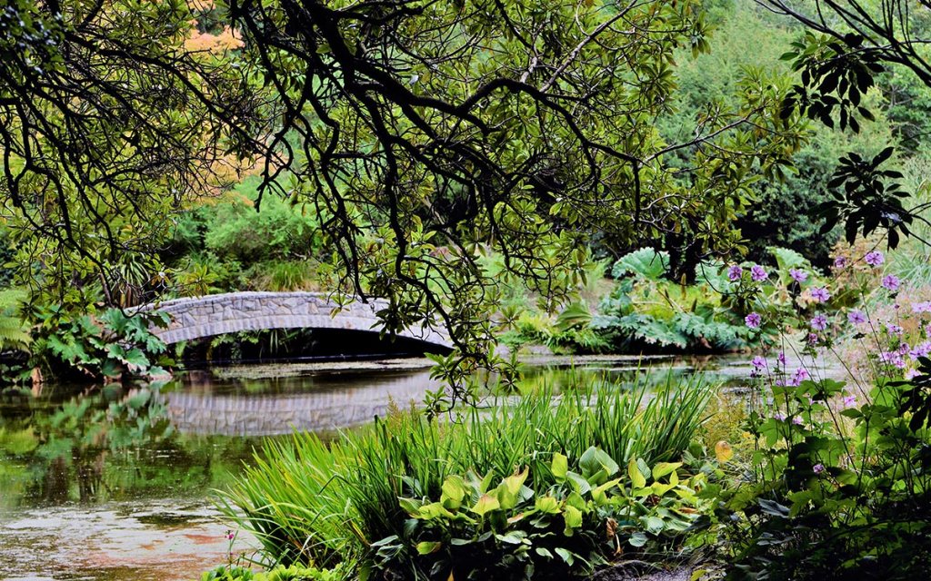 The Water Garden, Botanic&nbsp;Gardens