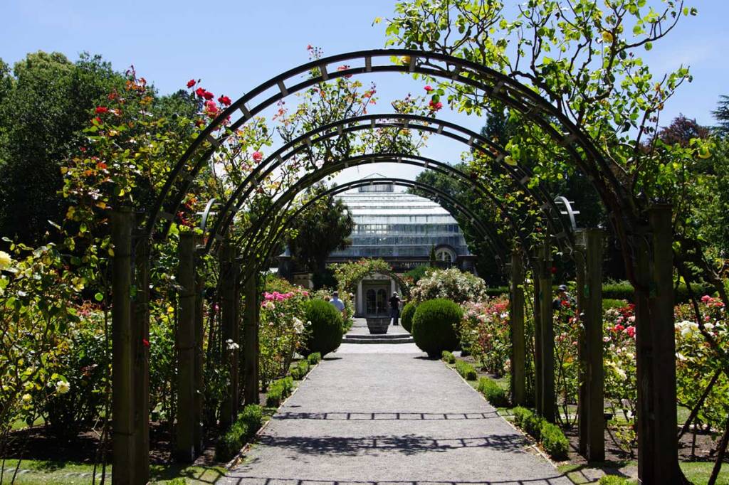 The Rose Garden, Botanic&nbsp;Gardens