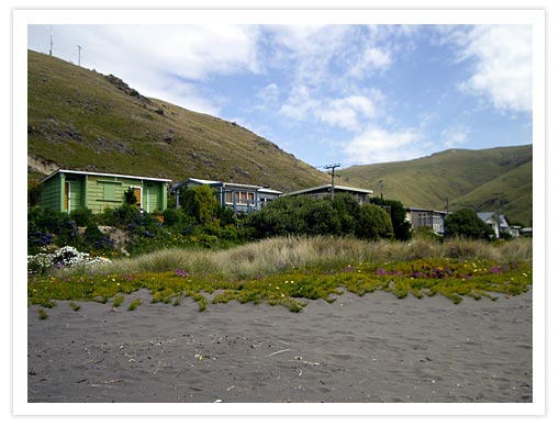 A scenic view of colorful baches surrounded by greenery at Taylor's Mistake, with hills in the background and wildflowers in the foreground.