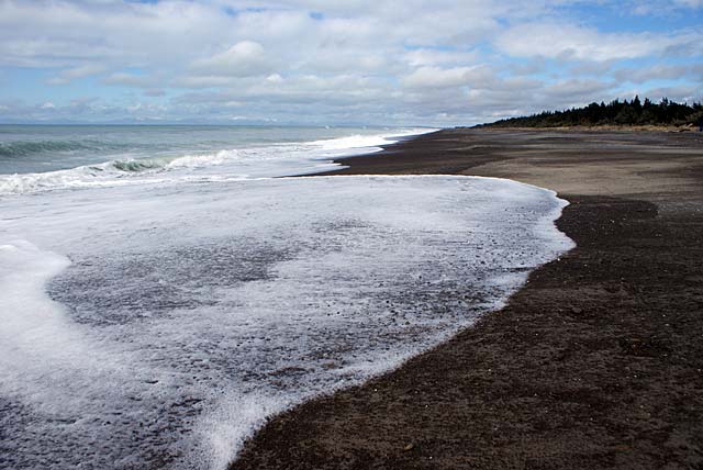 A scenic view of Leithfield Beach, showcasing the wild and windswept shoreline with waves crashing and frothy water against a dark sandy beach under a cloudy sky.