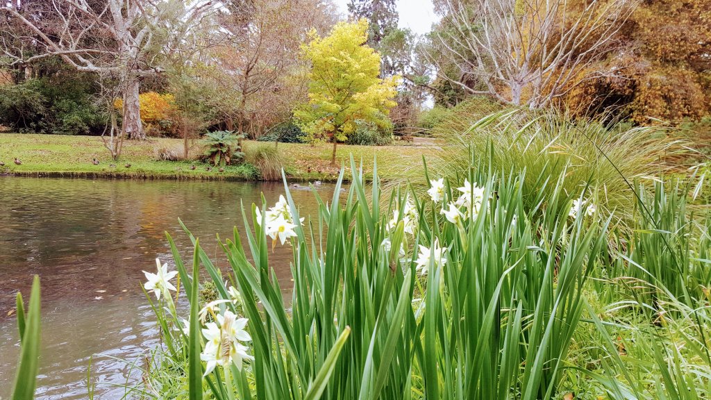 Spring Flowers in&nbsp;Autumn