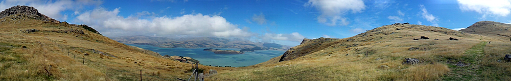 Back to the Rapaki&nbsp;Track