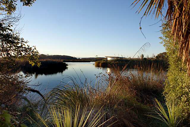 Travis Wetlands