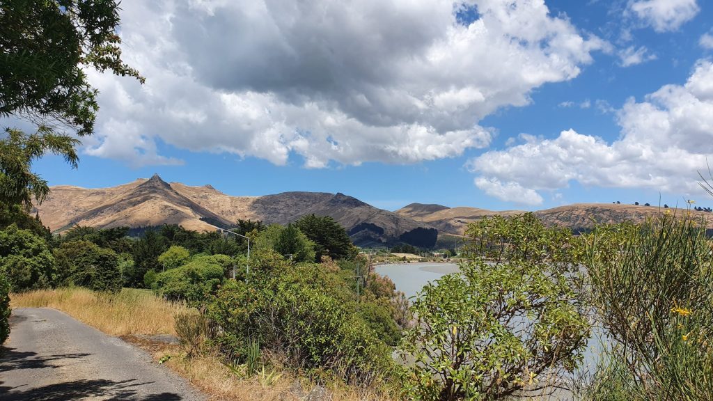 View of Castle&nbsp;Rock