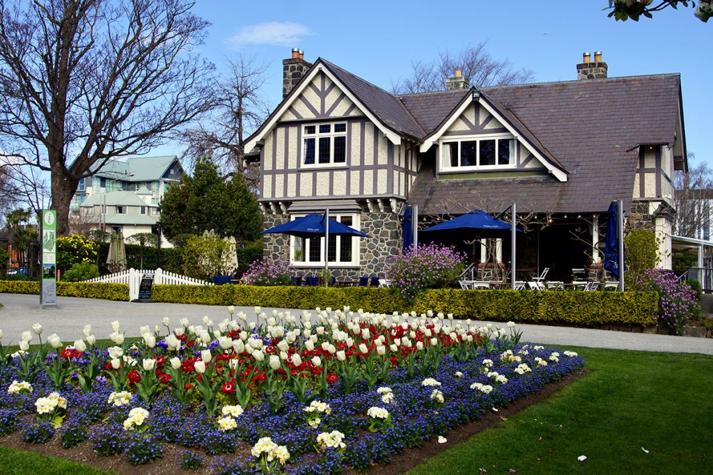Tulip Bed by the Curator’s House, Christchurch Botanic&nbsp;Gardens