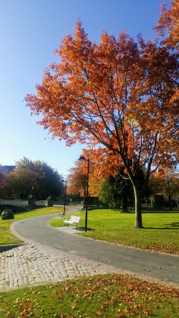 Autumn colours in Victoria&nbsp;Square