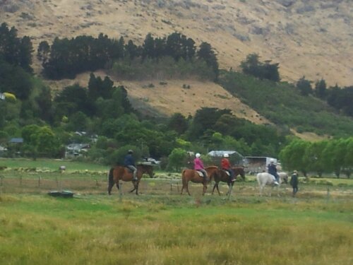 Horse riding in Heathcote valley