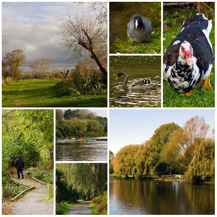 An afternoon at The&nbsp;Groynes