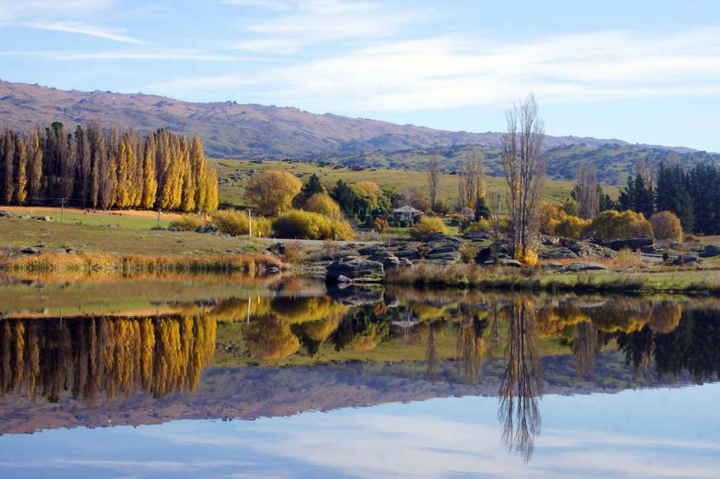 Butchers Damn Near&nbsp;Alexandra