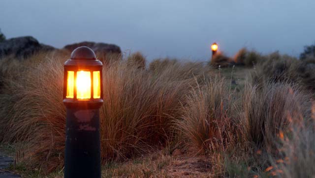 Lights Sign of the&nbsp;Takahe