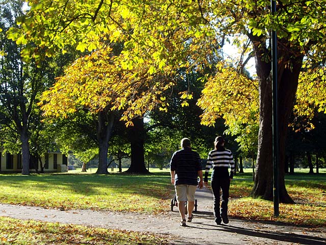 Hagley Park in&nbsp;Autumn