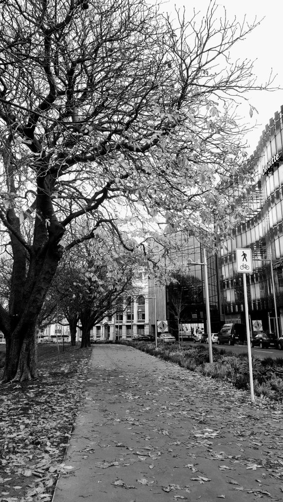 Shared footpath on Durham&nbsp;Street