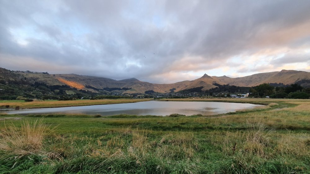 Evening in Ferrymead&nbsp;Park