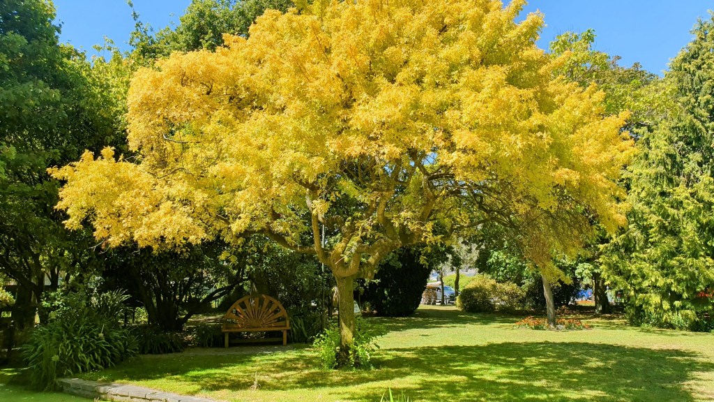 Edmonds Factory Garden
