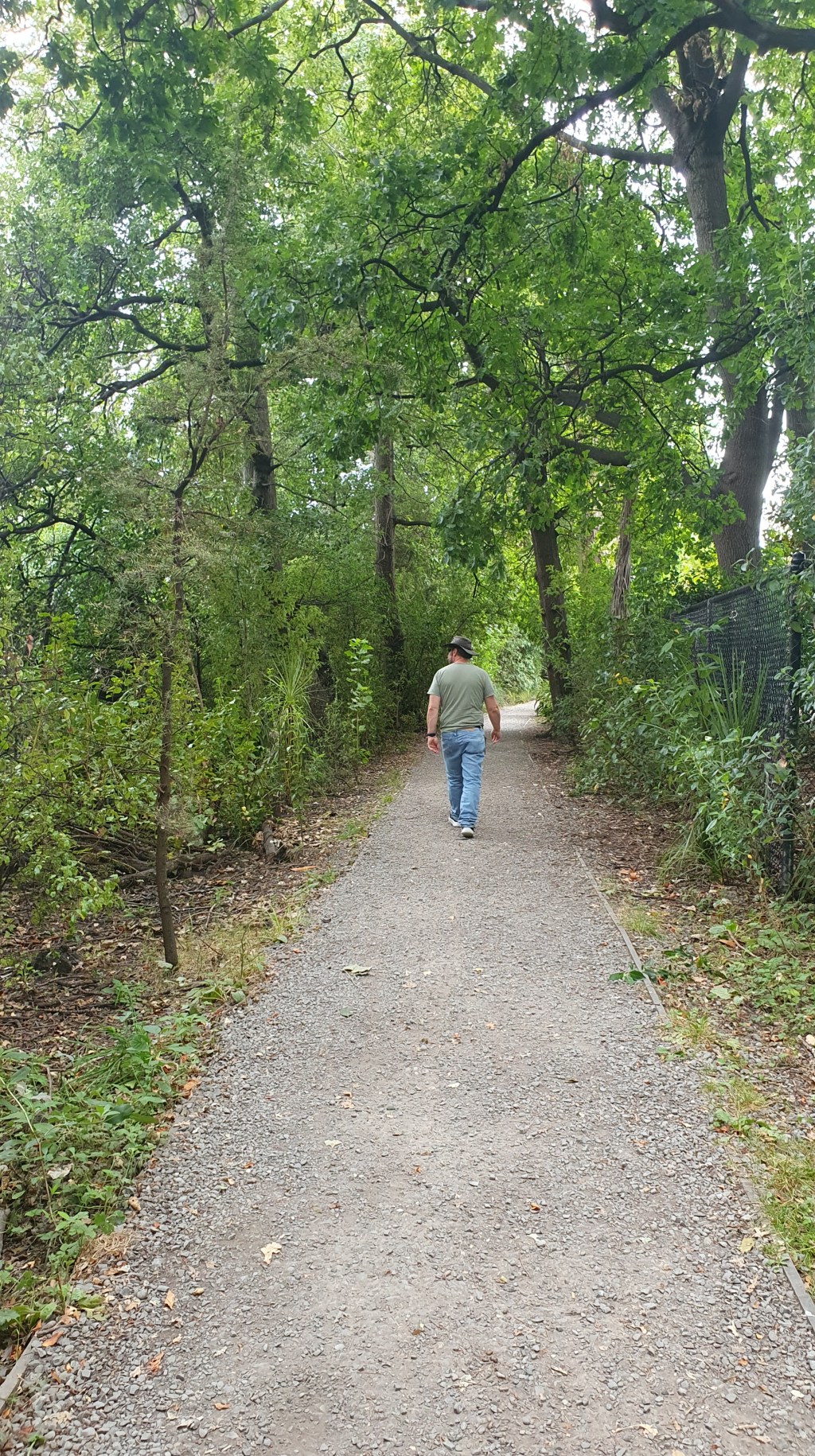 Ernle Reserve, Cashmere