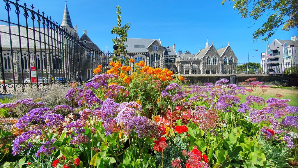Flowers in the&nbsp;gardens