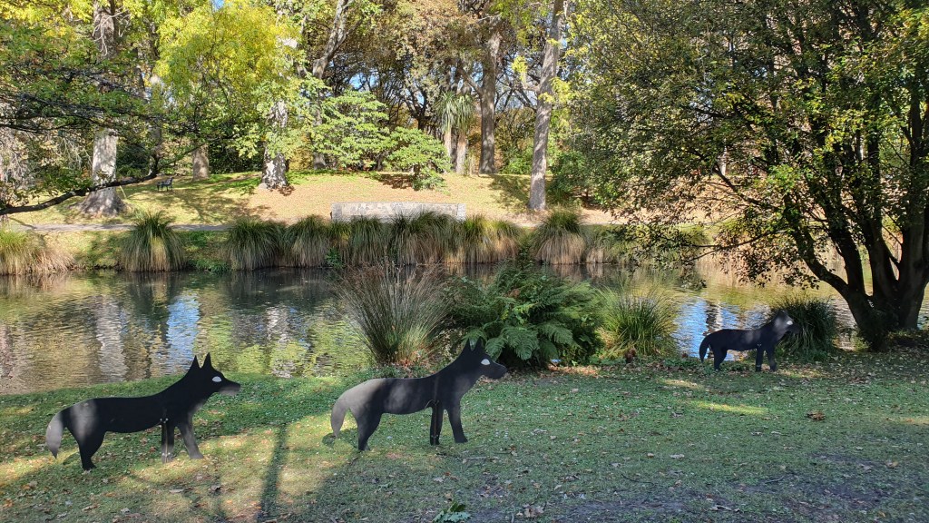 Wolf Decoys at the Christchurch Botanic&nbsp;Gardens