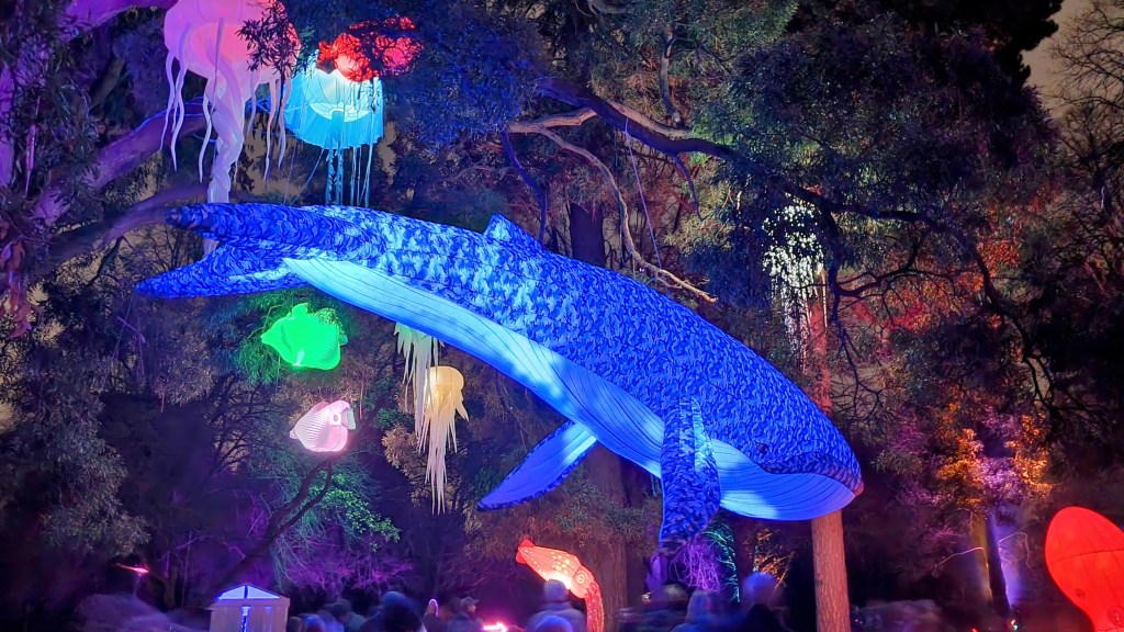 Illuminate light show at the Botanic&nbsp;Gardens