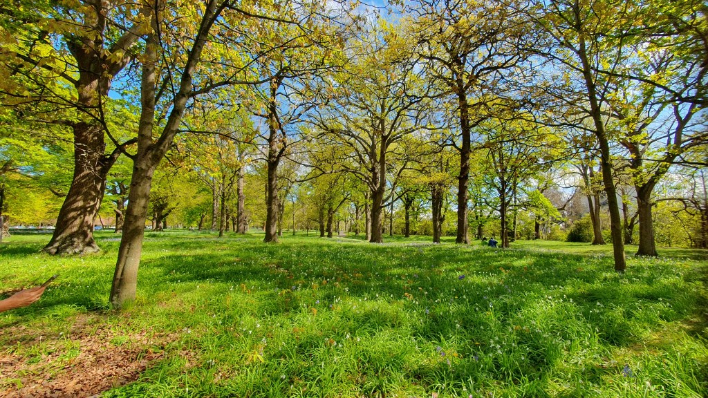 Little Hagley Park&nbsp;today