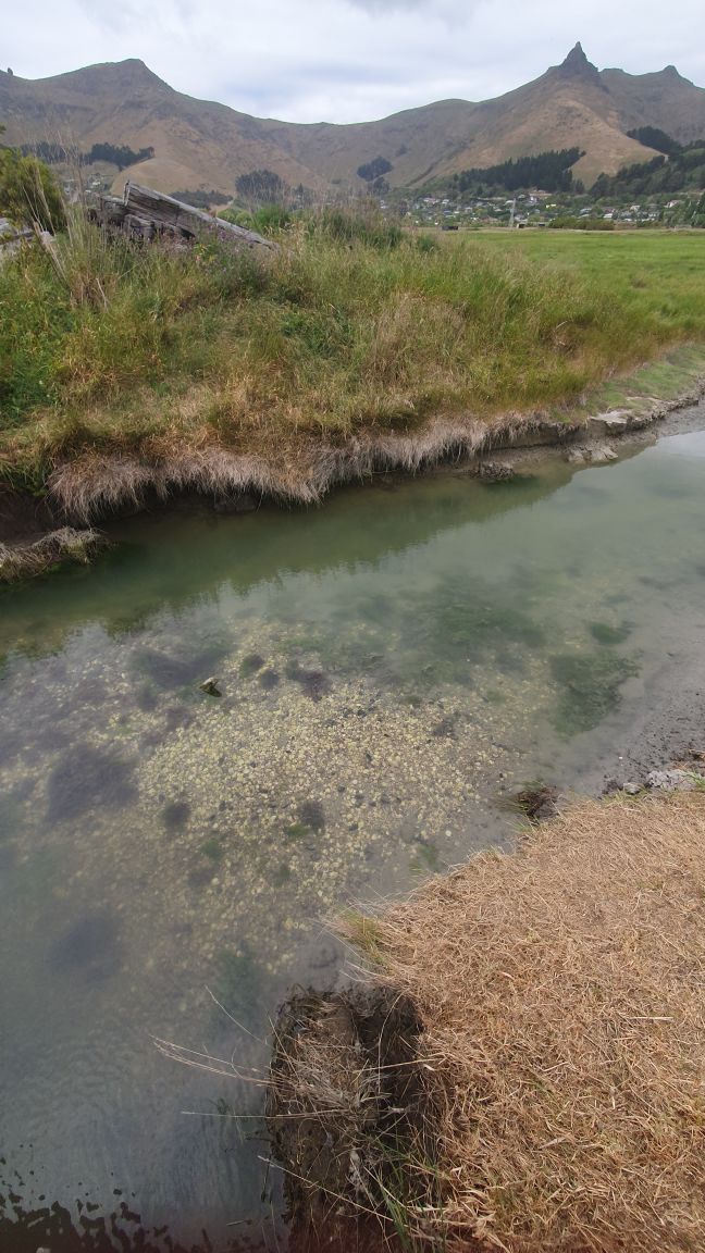 Ferrymead Park Stream