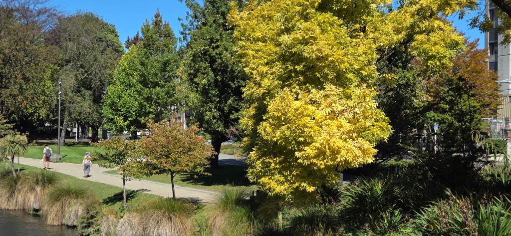 A walk around&nbsp;Christchurch