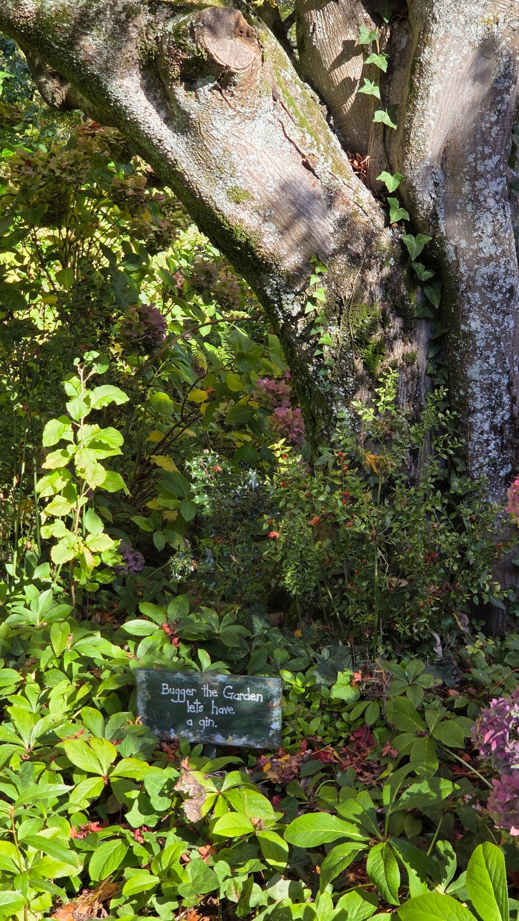 Funny sign in the Botanic&nbsp;Gardens