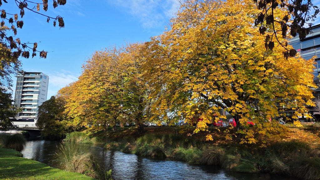 Autumn Scenes in the&nbsp;City