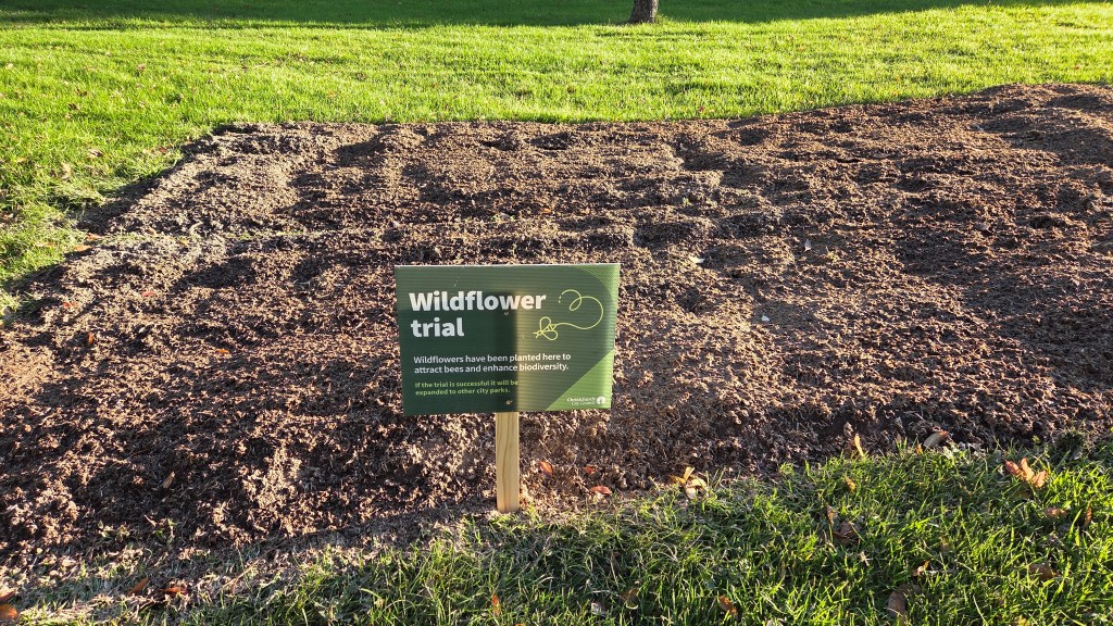 Wildflower Trial, Ferrymead&nbsp;Reserve
