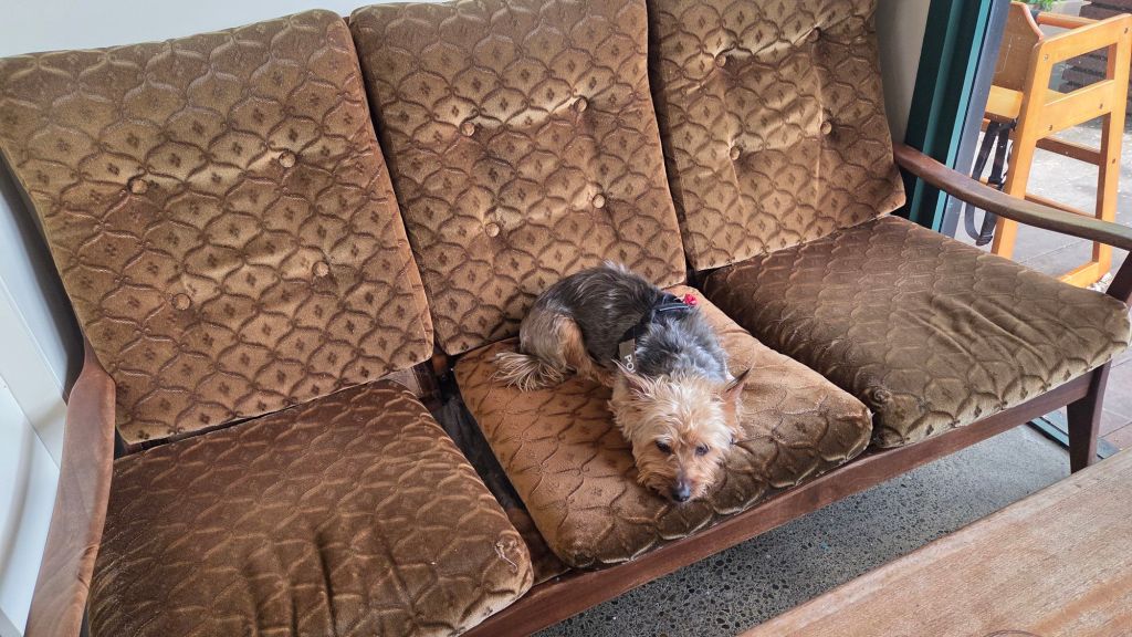 Polly at the Common Cafe & Garden Bar in&nbsp;Akaroa