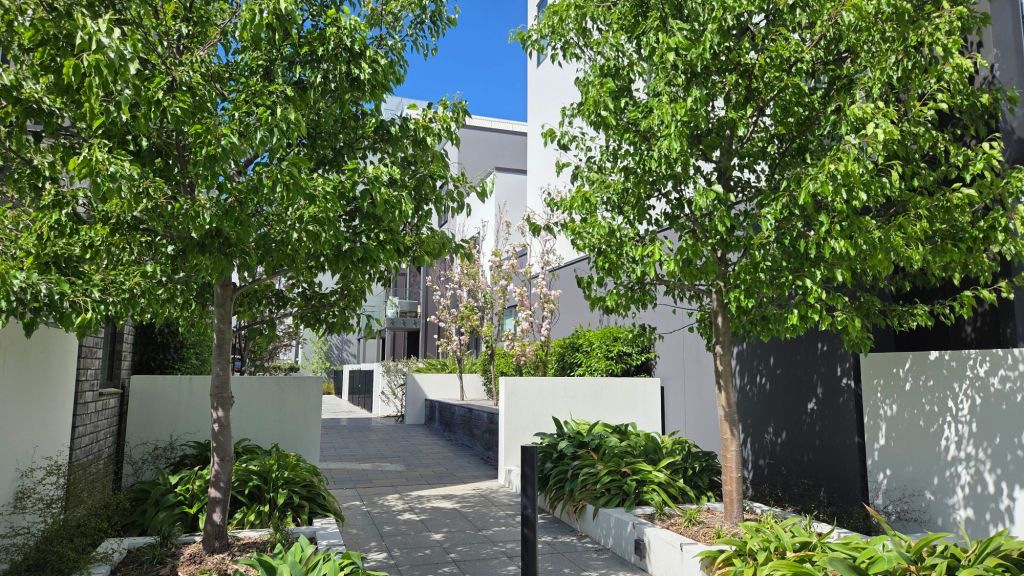 Pathway lined with trees and plants leading to modern buildings under a clear blue sky.