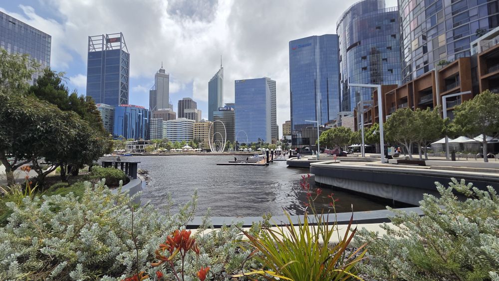 Looking stunning Perth