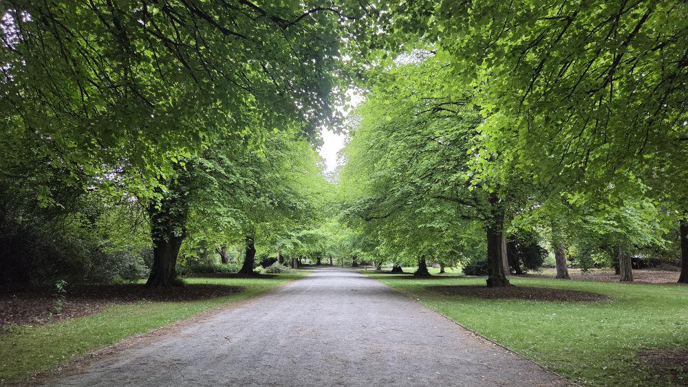 Trees in the Botanic&nbsp;Gardens